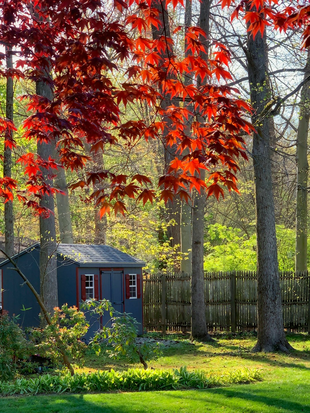 A grey wooden shed with red shutters stands in a garden.