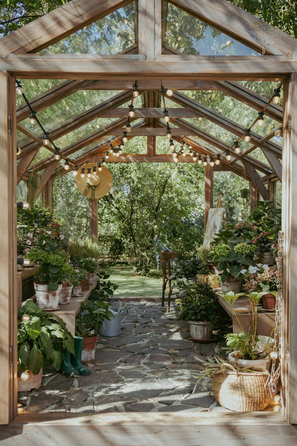 Potted plants and gardening tools inside a rustic wooden greenhouse.