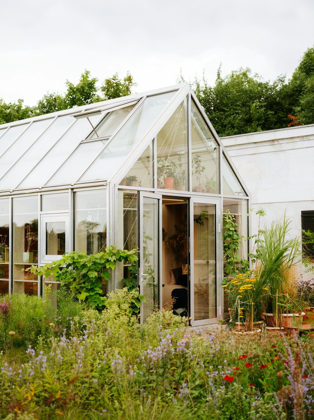 Glass greenhouse with open door in a lush garden.