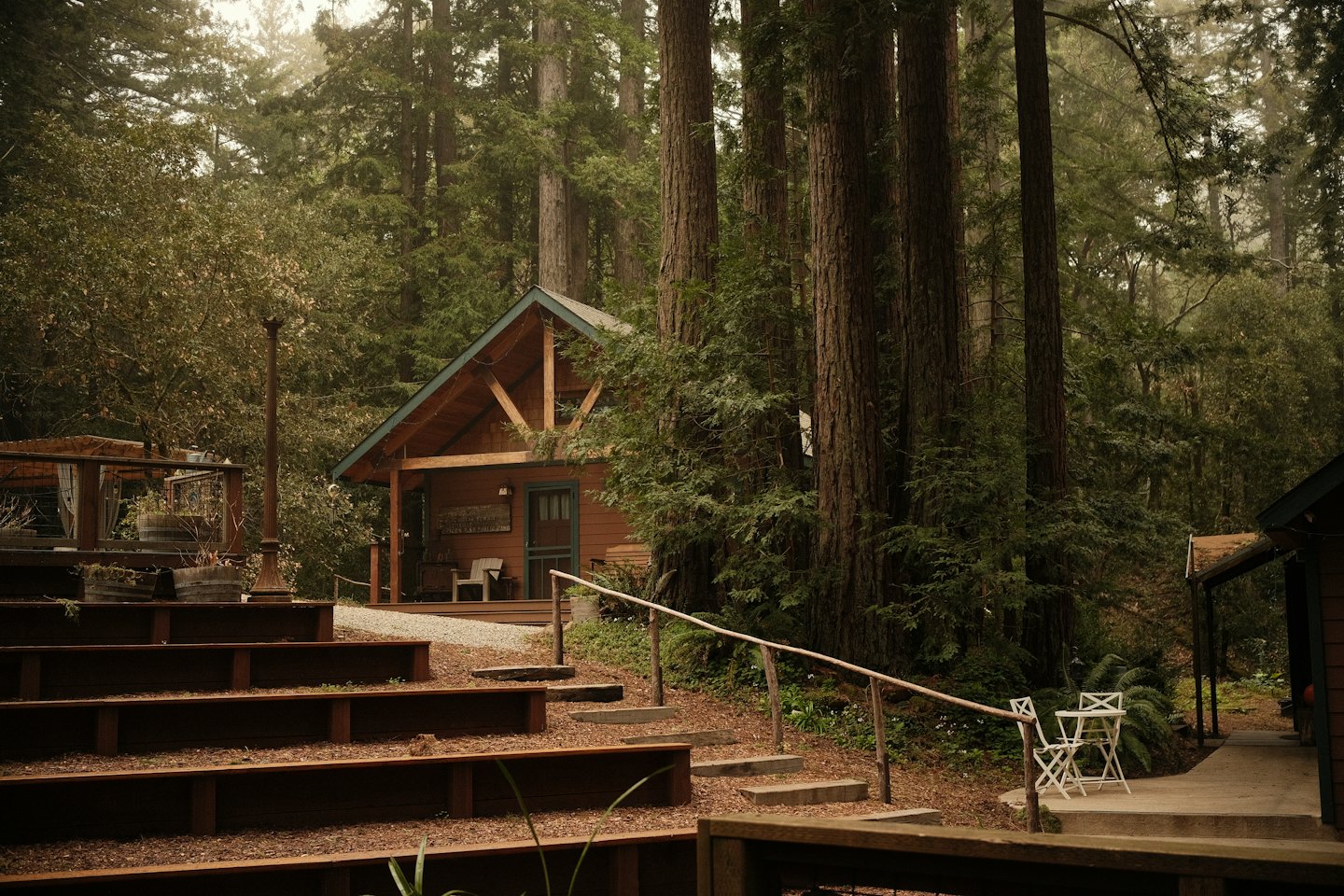 A rustic wooden cabin sits surrounded by tall evergreen trees.
