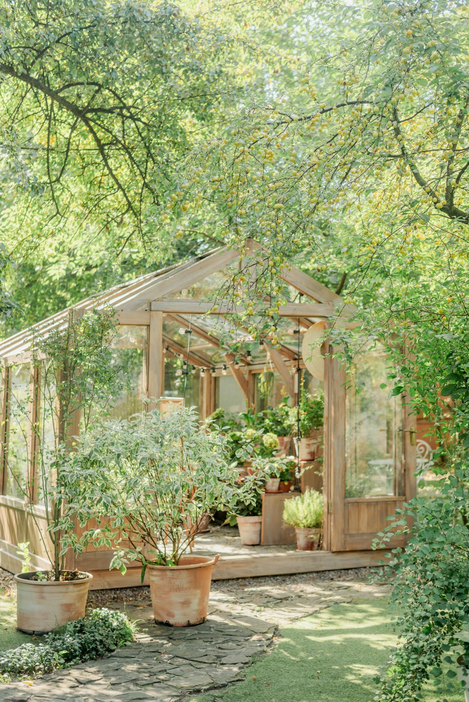 A wooden greenhouse sits in a garden with a stone path.